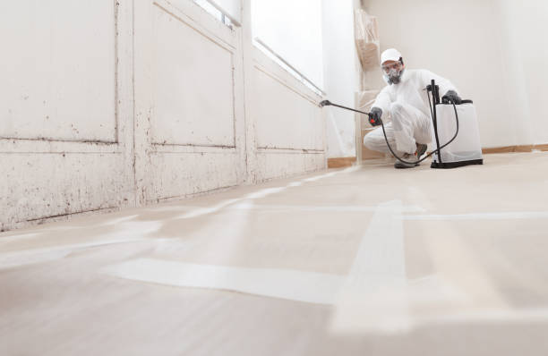 24/7 Emergency Black Mold Removal experts in Martinsville, IL