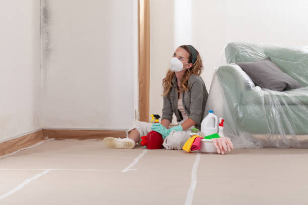 Reliable Black Mold Removal contractor in Martinsville, IL by WQB Mold Removal